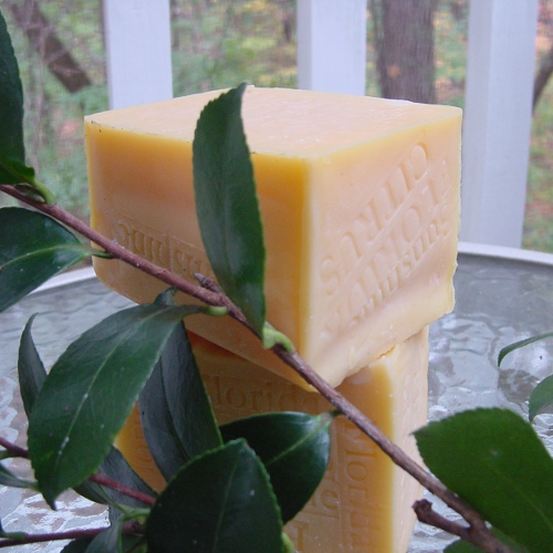 Florida Citrus Sunshine Bar Soap
