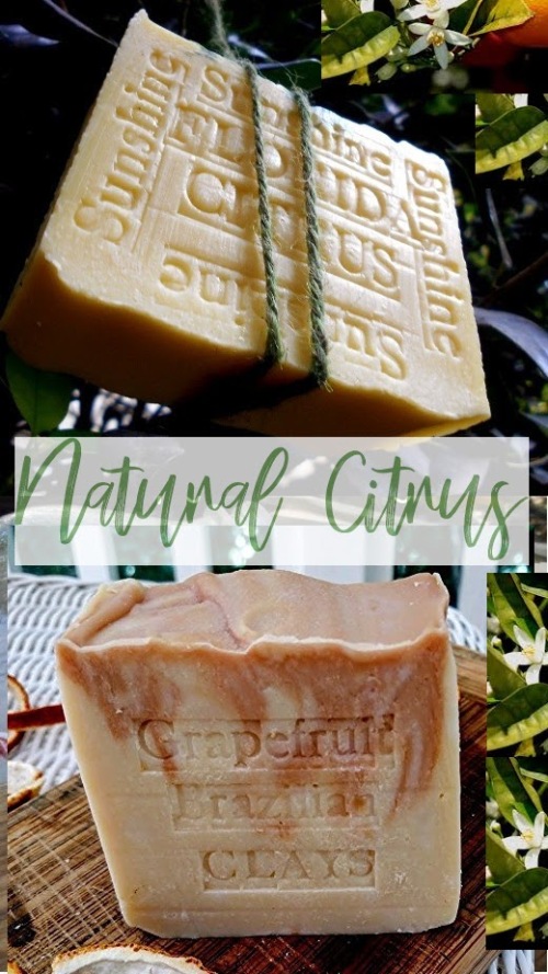 Spring Natural Florida Citrus Artisan handmade Soap 
